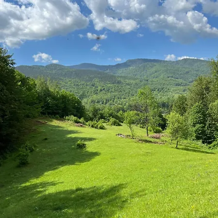 Sara's Land